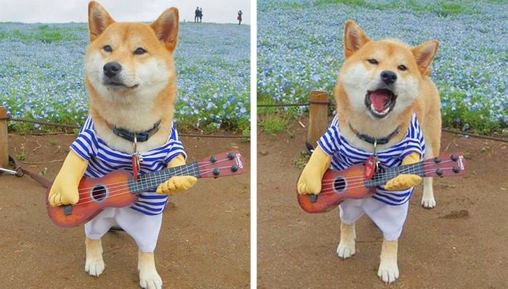 faa3eb5f89af1f7dc1b61449ae