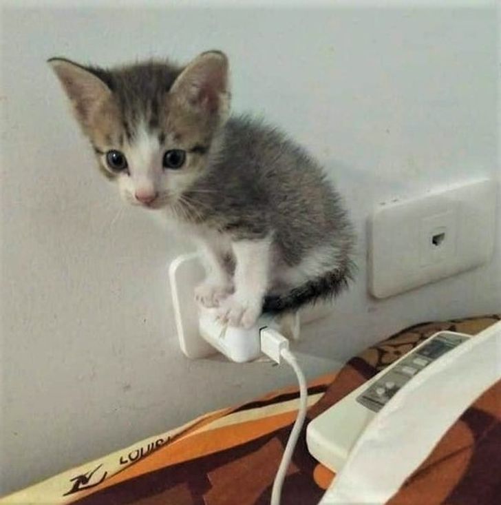 faa56f56f49fd071452ba6b9f0