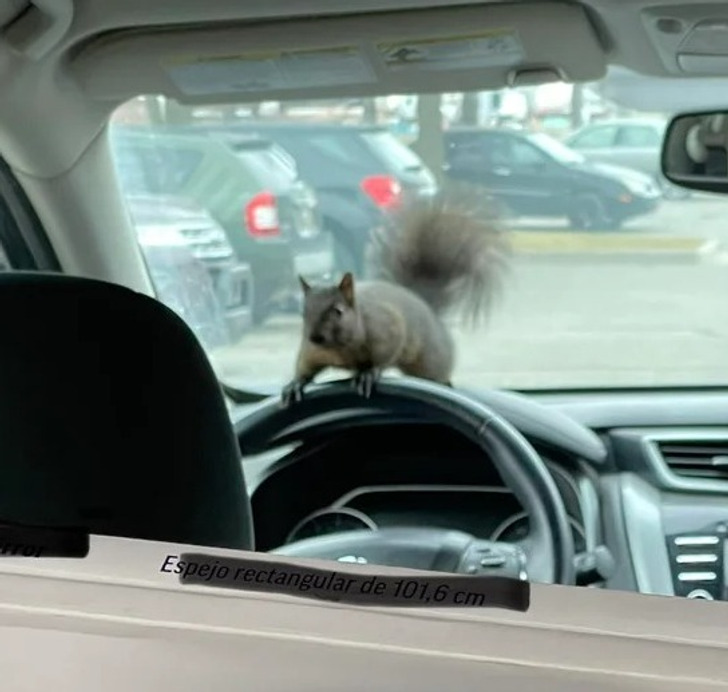 faa6285b309e8c430d893514eb