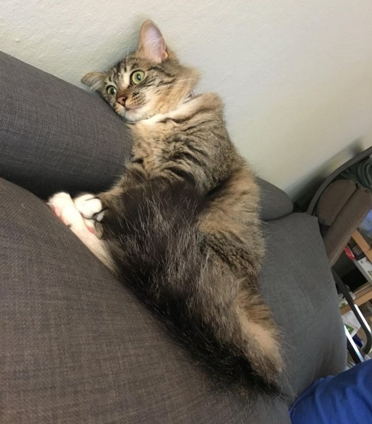 faa7f257cc9b3a17b8404a6d00