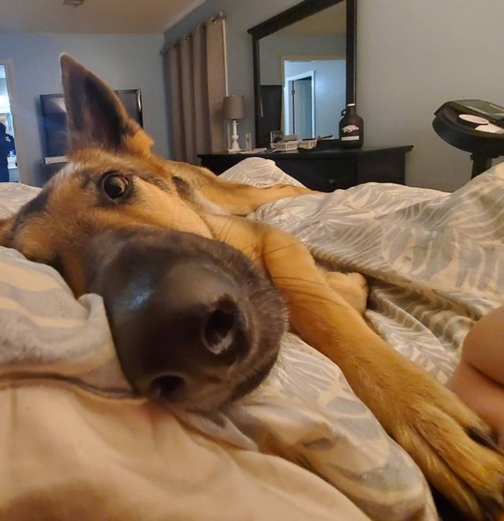 faa85051aeb567ae4c4c2081d6