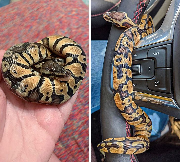 faaa6e5e39b92462123064d45b