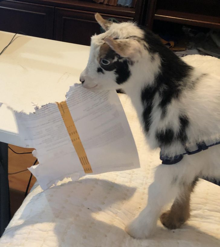 fabcf25208b3683c2998e03d99