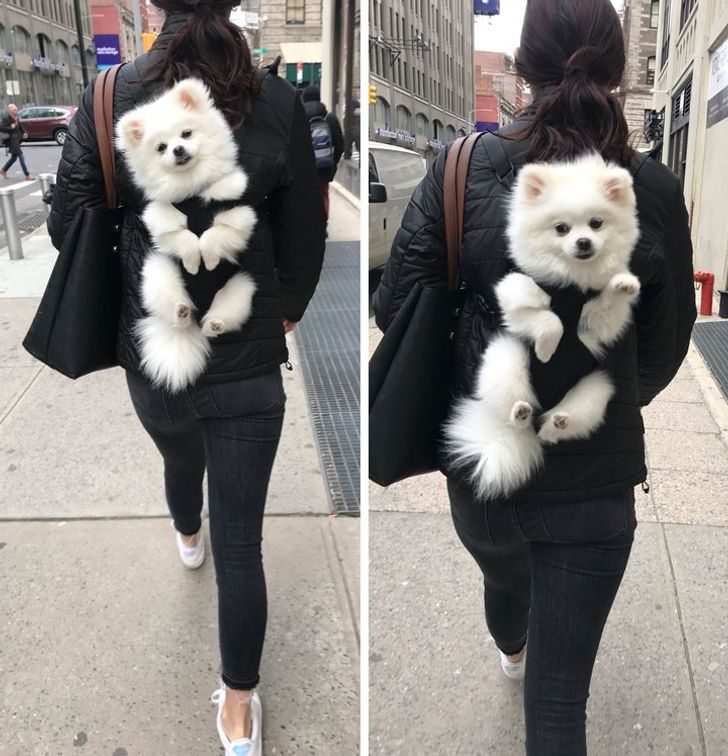 fabe4e5df18b6c259879a154b8