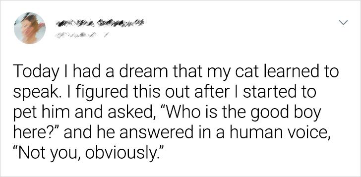 fabecb5bb5a97e6cdb718dae13