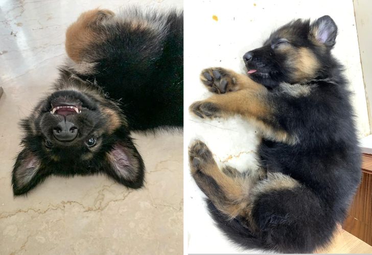 fabf645d03b15bfbf254b5ae1e fabf645d03b15bfbf254b5ae1e