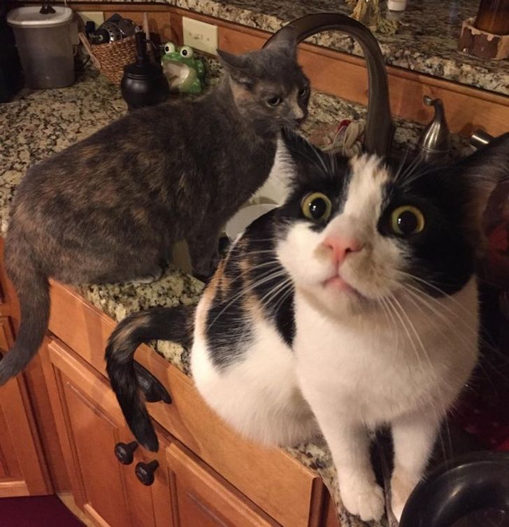 fac16f5818b0e8a3122307e1cb