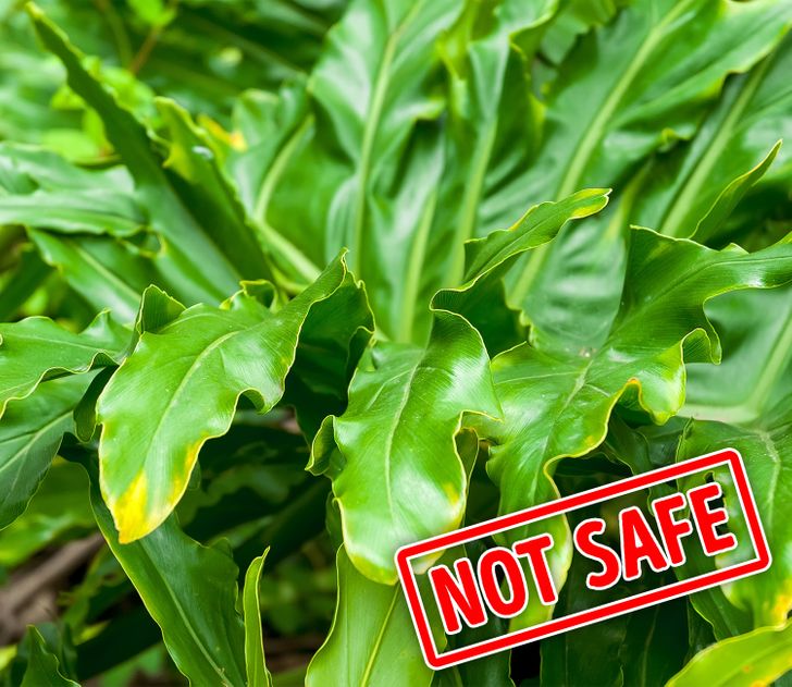 fac8f15baebd87732d3bb9fca4