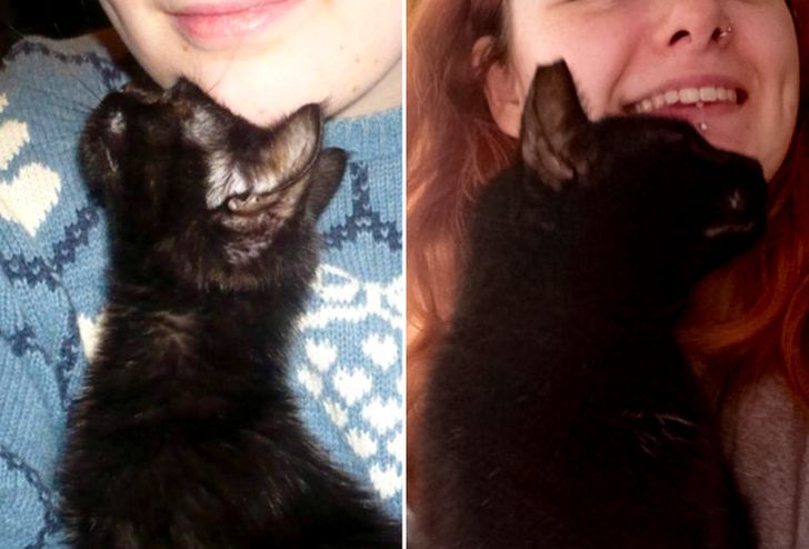 facba1575e9e2452331675b7a8