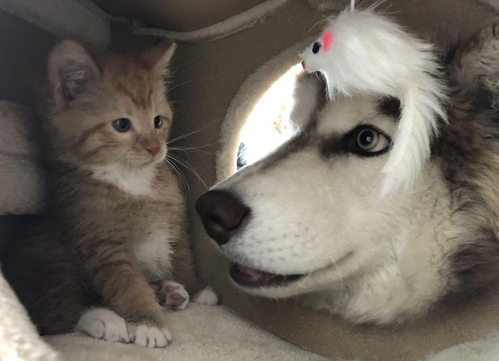 facd3b5f08b35381123d57fca8