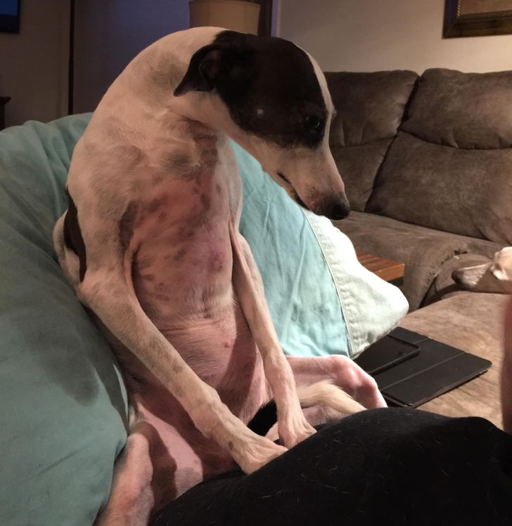 face1c557d85295fe060d111e9