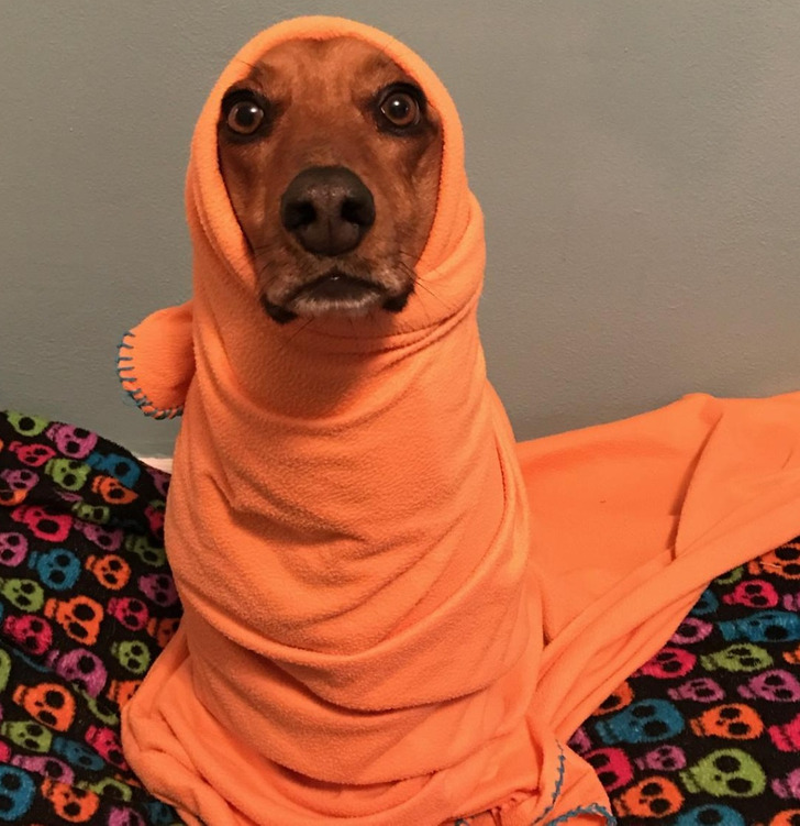 fad34753e38b8b65d01cbc17d1 fad34753e38b8b65d01cbc17d1