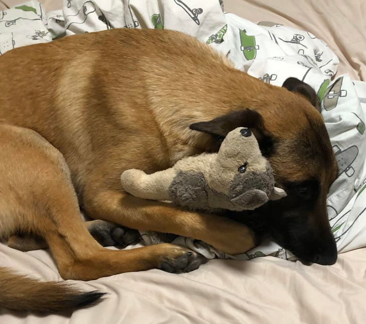 fad438504096dd89874f332ffb