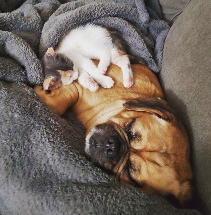 fae01c542e83c75539d4c26ebd