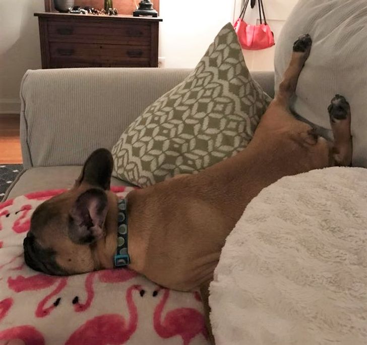 fafa235aeb9df21e4209407396