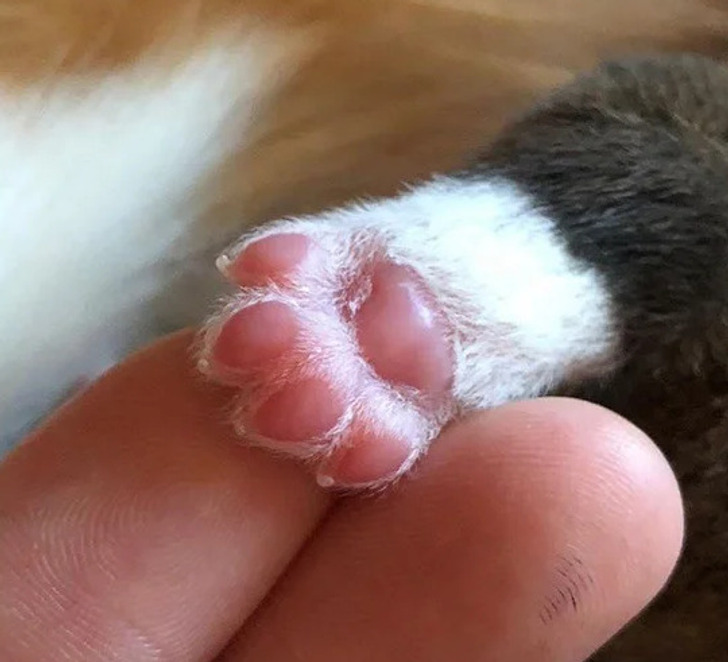 fafbdd5496aff82e0a4ed4b66c fafbdd5496aff82e0a4ed4b66c