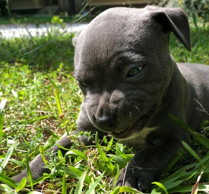 fafdb75d569a79672b53a0eaeb