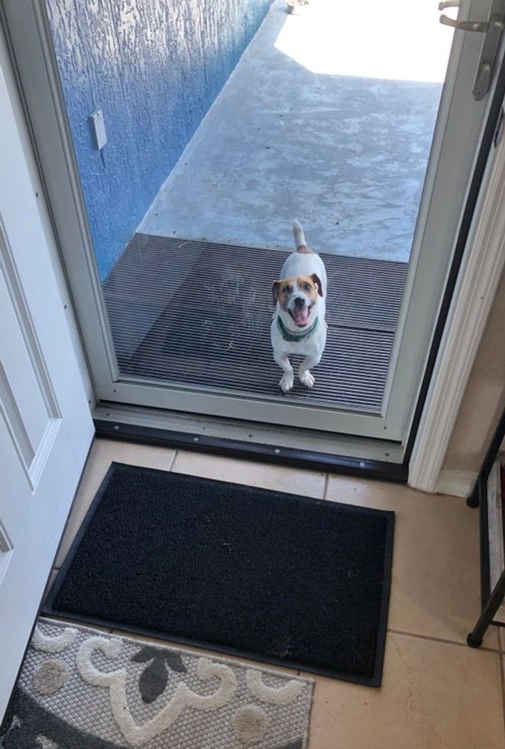 fb112954f3bf62bdeb2b6613c7