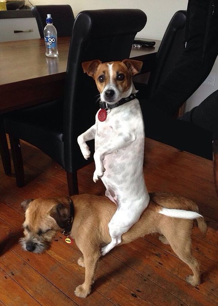 fb184c5e5080edc28526bb0d55