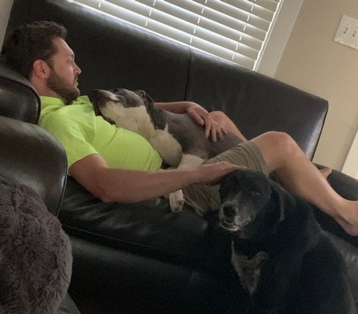 fb1c2e55e382775476d3b4f99e