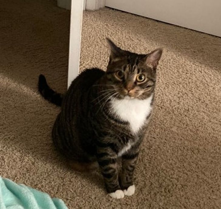 fb1c415dab99bfb8e9afe3fa33