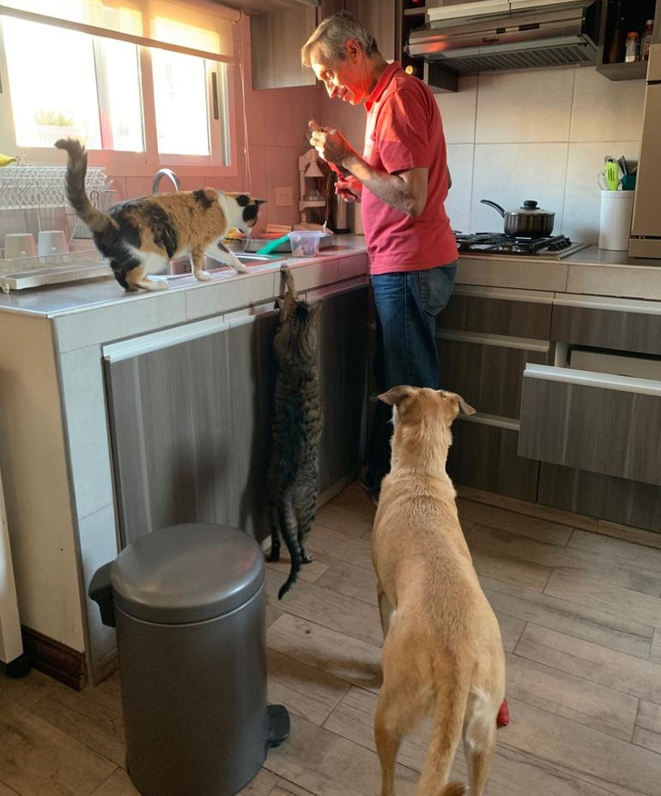 fb1c8159cab852d545444d51d7 fb1c8159cab852d545444d51d7