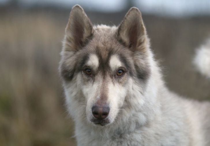 fb24af541a80c1804534fb299c