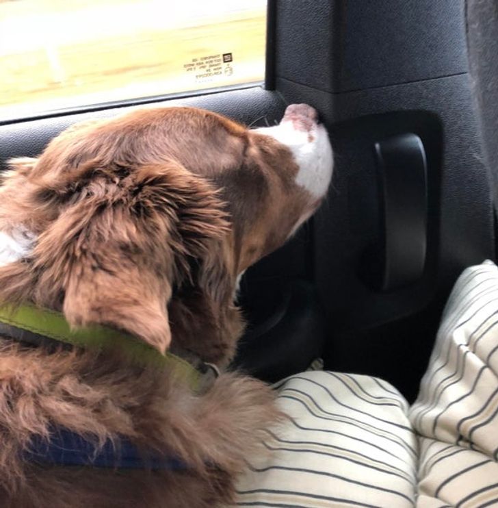 fb27b451f5ab39495ccdbbd780