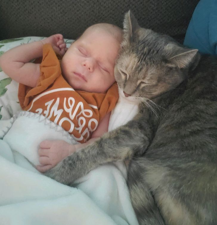 fb2ccf5c54acc31551c7890aa5