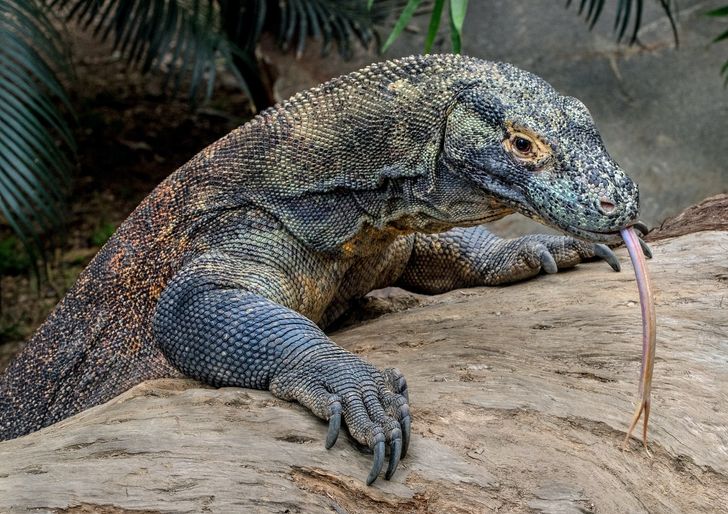 fb313a56a7b4280943b2ceff4a