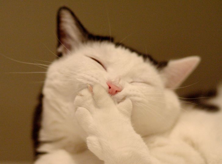 fb31e45203ab3d6007b2a00259