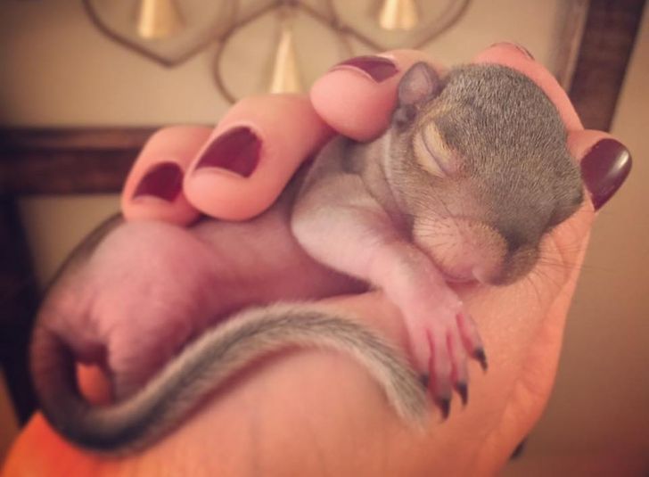 fb3589526288c464a4a8226d18 fb3589526288c464a4a8226d18