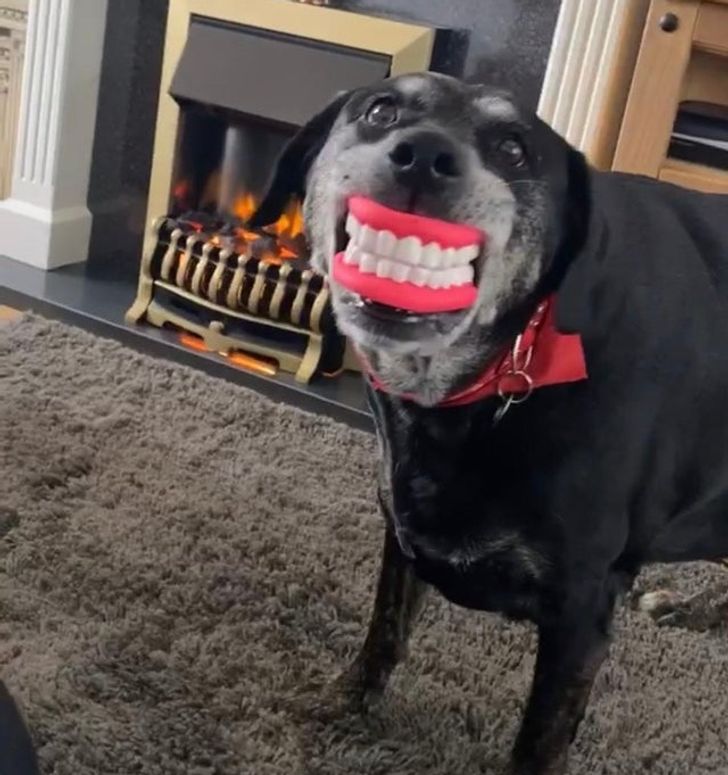 fb35fe5fa0b23c2a64e772ac1f