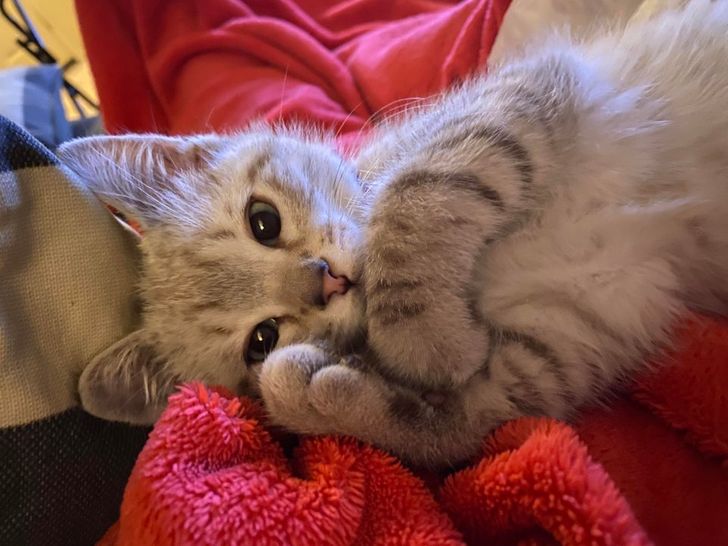 fb400157d3a877ac97453ce19c