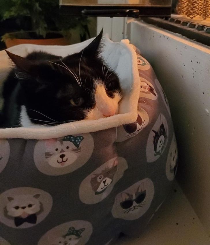 fb4190576eb8b4ac086c424e8f