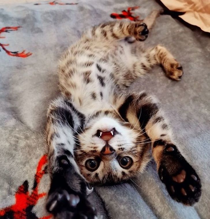 fb4d1e59e9af4616f5419ac912