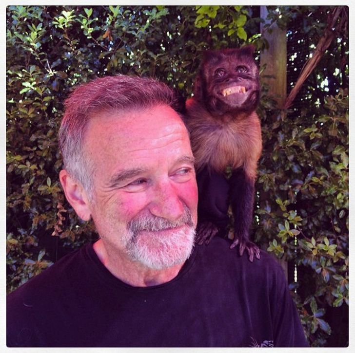 fb53cf50ee8e6955bb468c1089