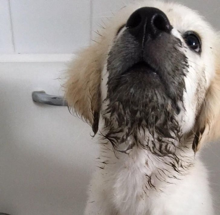 fb59915fa1ad8c1272557a5d11