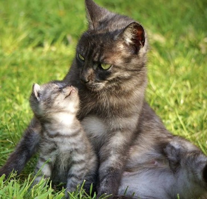 fb620154e9b1846d0c16499478