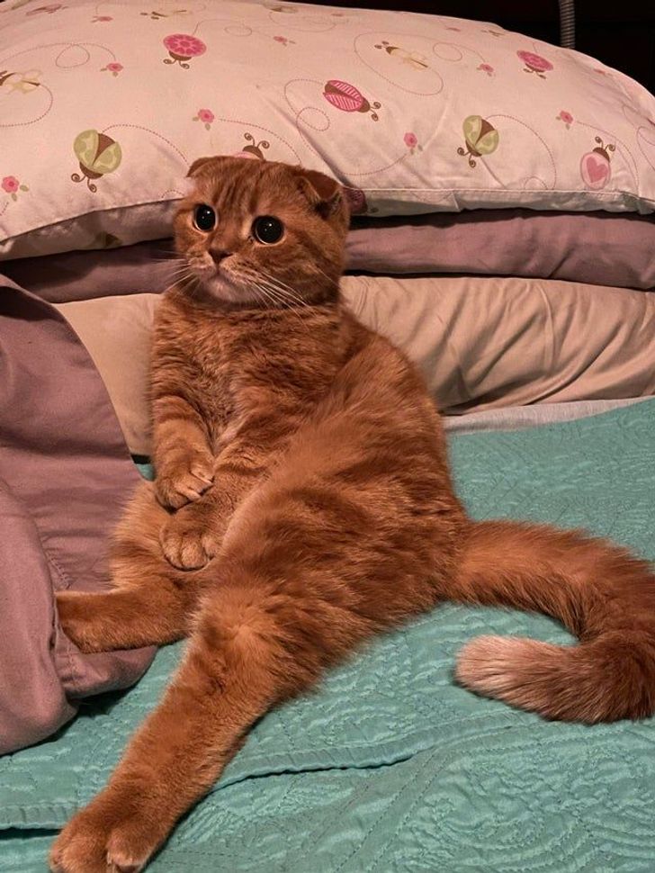 fb6fac515cb545ece1f6fb3d71