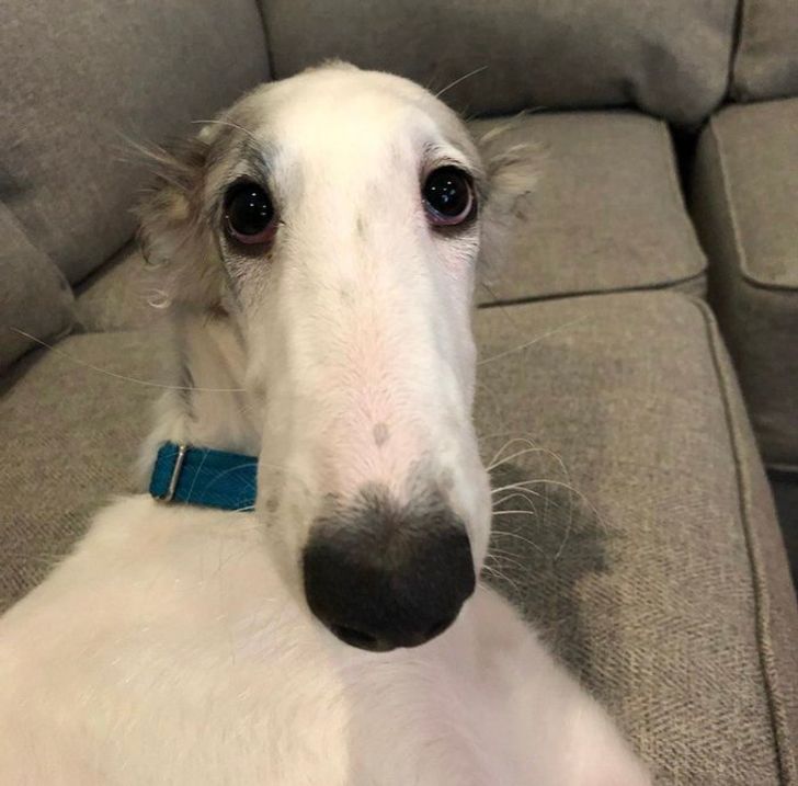 fb71eb531a899e95458f6fa463