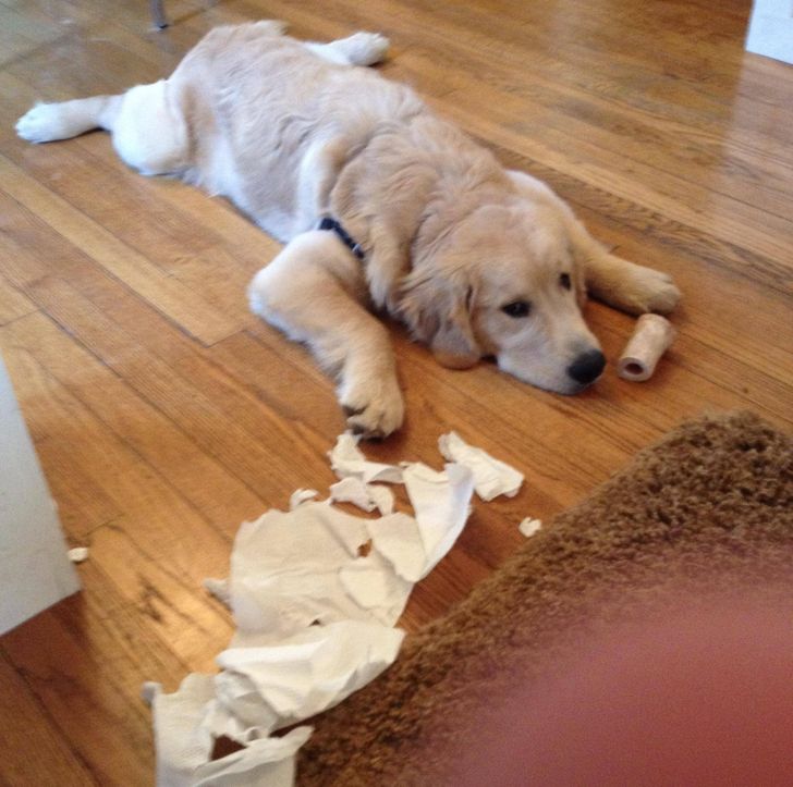 fb72bd56048f71db09e0eab404