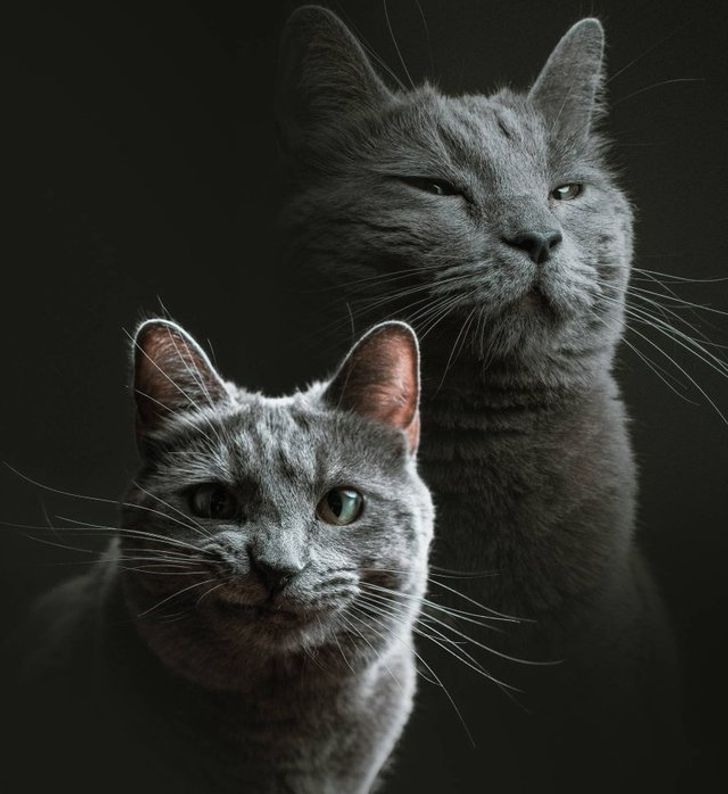 fb78a8586ba0a6b4457c6c0462