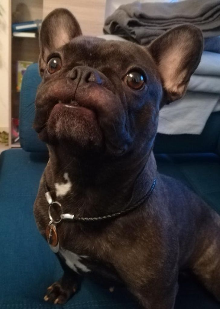 fb7e855fd384022c574180d5ee