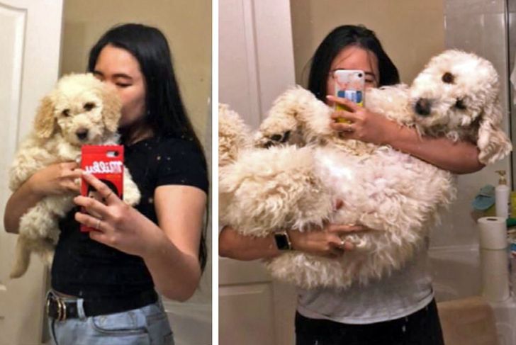 fb80e75959ba7ca9e6777dc4a0