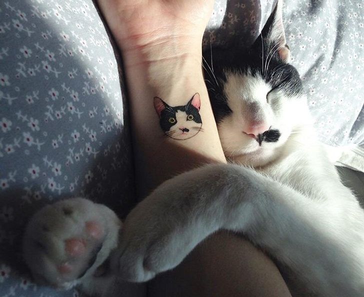 fb86bb5482825f2377a760a0a6