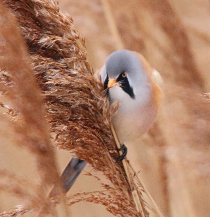 fb875f59c78a299d6a60df80d9