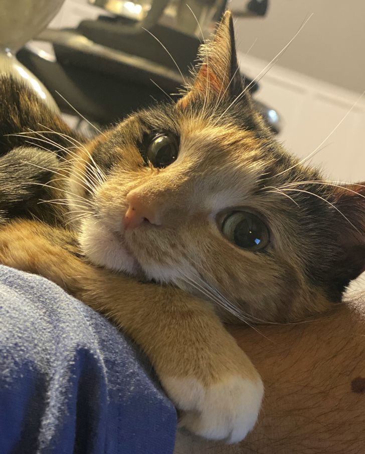 fb89445530b128e22c3266258e