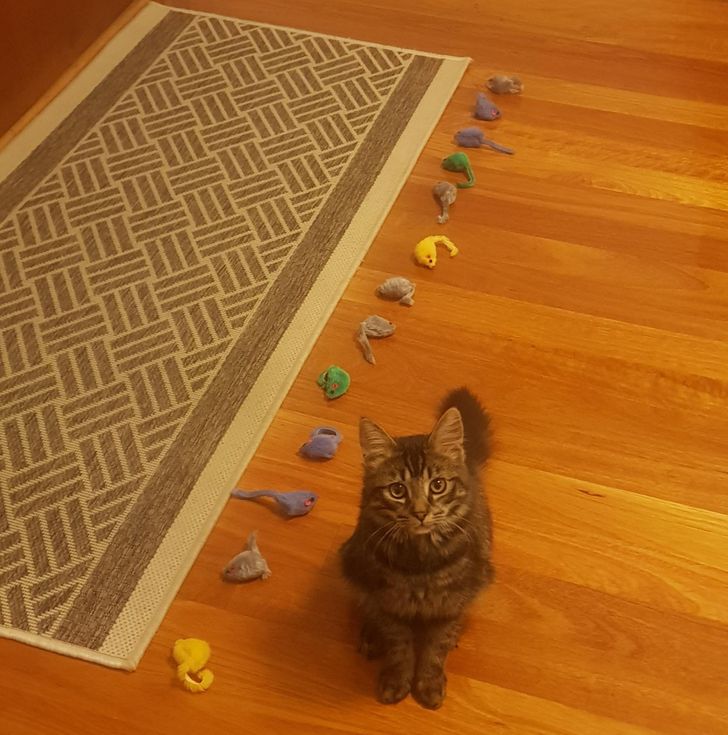 fb8b6458c0aa40d1267c193ab8