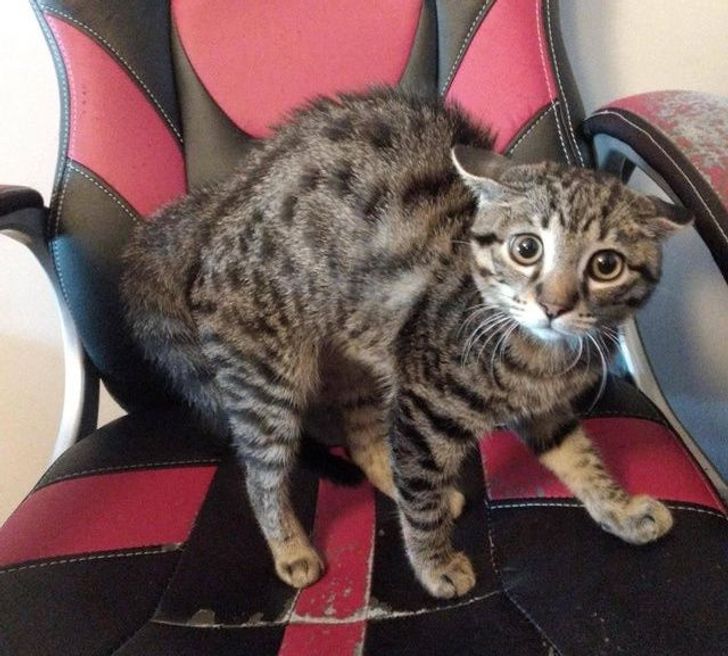 fb91ec5f44b90206c2a209604b